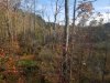 20201021_162530.jpg