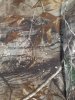 20201022_075305.jpg