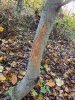 IMG_0818.jpeg