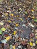 IMG_0814.jpeg