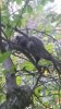 20201025_074449.jpg