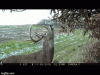 c35abad6-1d4e-44cb-9571-cfc85be7f873.gif