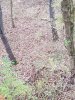 20201025_093445.jpg
