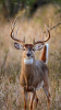 a7e4ddb609bd841a71834c85a0438090.png