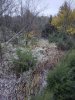 20201026_074553.jpeg