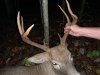 IMG_0123.JPG