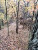 20201027_163324.jpg