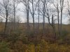 20201027_171537.jpg