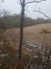 20201027_164454.jpeg