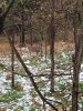 20201028_082938.jpeg
