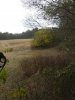 20201028_163547.jpg