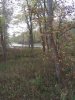 20201028_163535.jpg