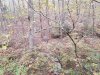 20201028_165816.jpg