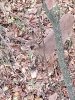 20201028_182517.jpg