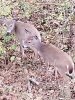 20201028_181918.jpg