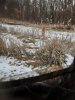 20201028_160932.jpg