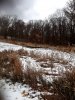 20201028_154214.jpg