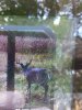 20201004_171132.jpg