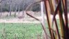 20201029_181641.jpeg