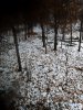 20201030_080358.jpg