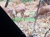 20201030_091720.jpg