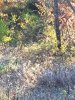 20201030_085051.jpeg