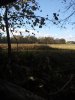 20201030_160548.jpg