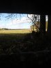 20201030_160539.jpg