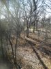 20201030_150922.jpg