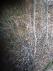 20201030_162841.jpg