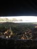20201031_132802.jpg