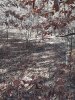 20201031_135834.jpg