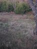 20201101_062230.jpeg