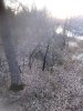 20201101_070008.jpg