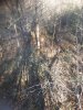 20201101_150453.jpg