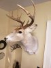 20180913_123315.jpg