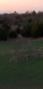 Screenshot_20201101-155047_Gallery.jpg