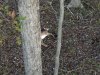 20201102_062835.jpg
