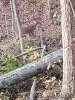 20201102_063834.jpg