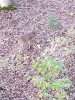 20201102_064256.jpg