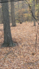 7615BA7D-4E56-4662-BBA8-F7C18FB6913A.png