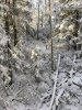315CF39C-16CA-4FD5-A1C4-6D9BDF1B659F.jpeg