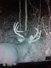 20201101_185321.jpg