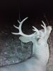 20201101_185352.jpg