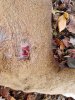 20201102_114246.jpg