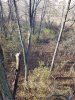 20201103_155025.jpg