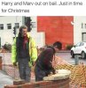 harry and marv.jpg