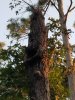 20201104_065703.jpeg