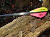 20201104_111227.jpg