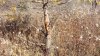 20201104_113301.jpg